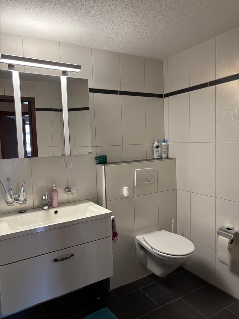 Room in shared flat in St. Gallen (7)