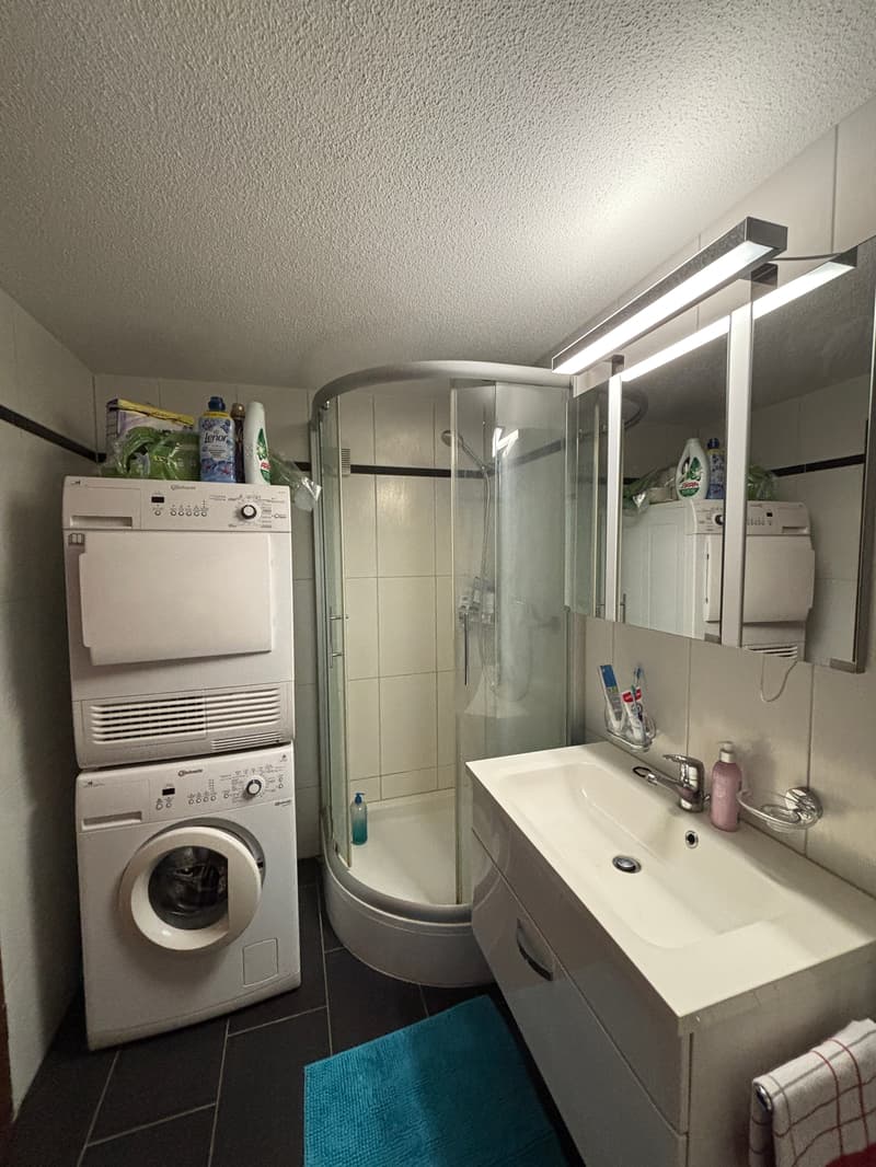 Room in shared flat in St. Gallen (6)