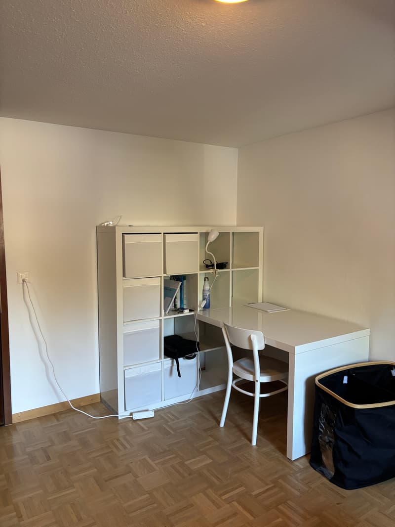 Room in shared flat in St. Gallen (3)