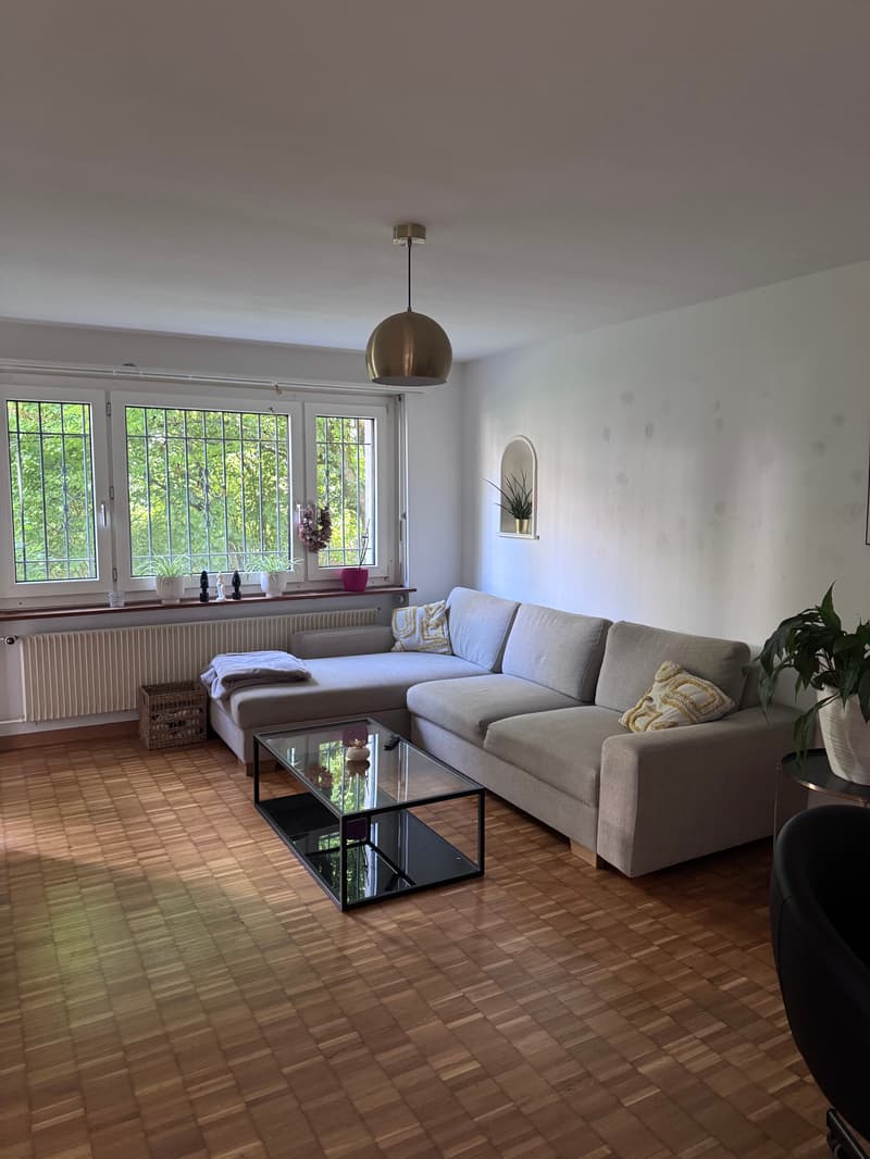 WG-Zimmer in Zürich (2)