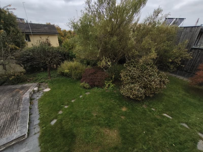 WG-Zimmer in Uster (6)