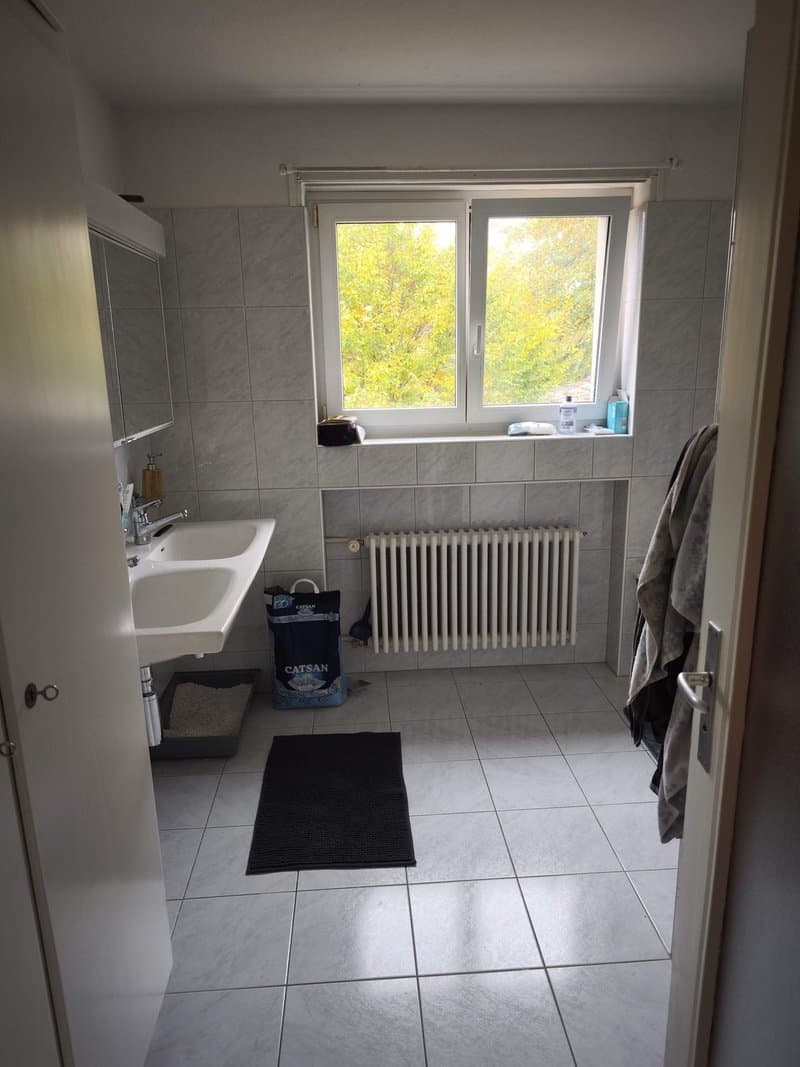 WG-Zimmer in Uster (11)