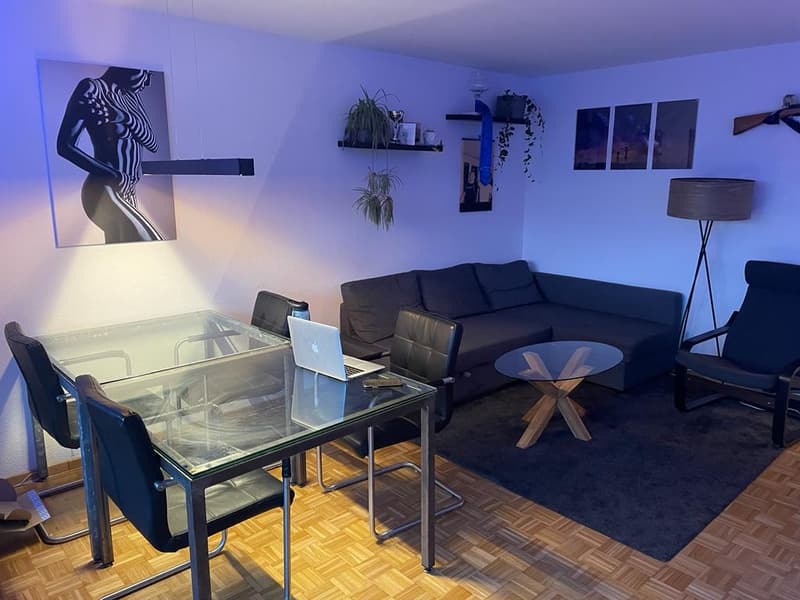 WG-Zimmer in Uetikon am See (1)