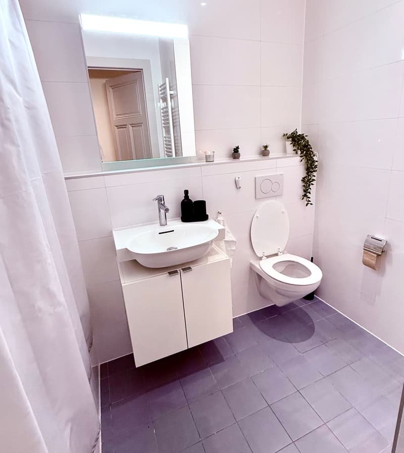 Appartement à sous-louer meublé au centre de Lausanne (6)