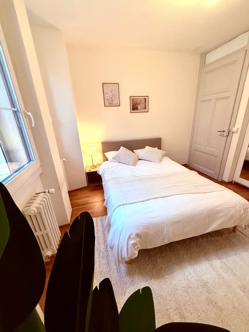 Appartement à sous-louer meublé au centre de Lausanne (5)