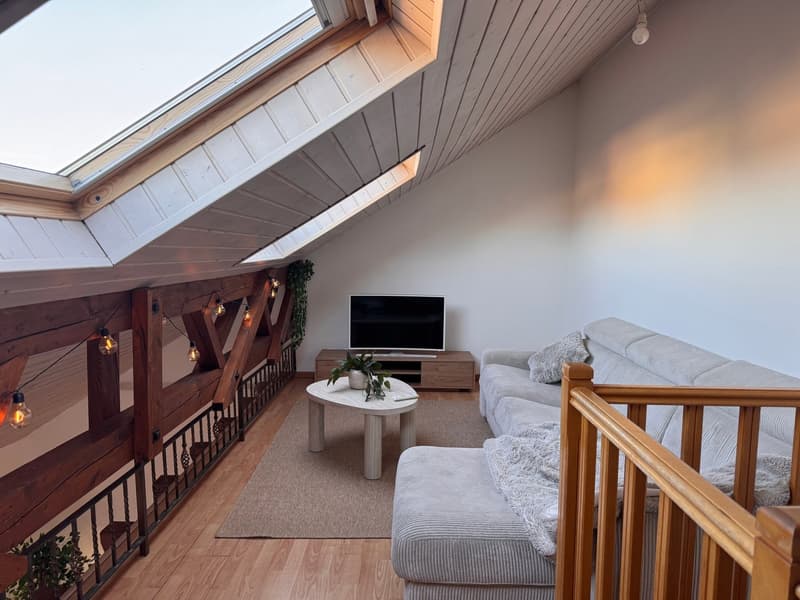 Chambre meublée disponible dans une grande villa en colocation à Apples (3)