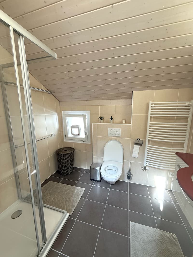 Magnifique chambre meublée de 25 m² dans grande maison de 270 m² (7)