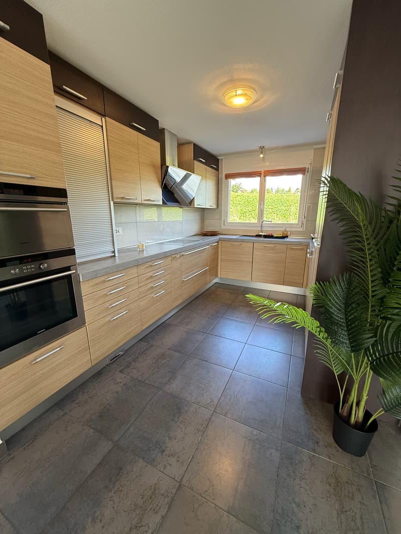 Magnifique chambre meublée de 25 m² dans grande maison de 270 m² (6)