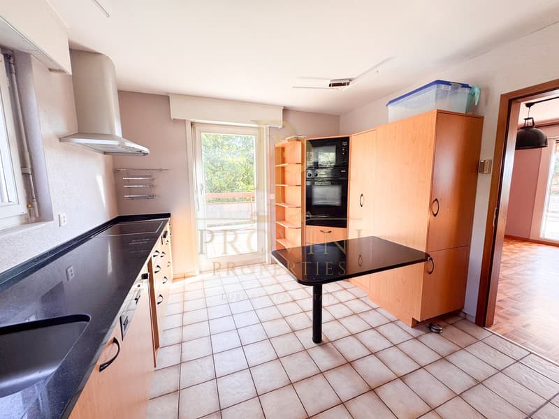 Attique 7.5 pièces – 154 m² habitables – Terrasse plein sud de 110 m² et vue panoramique (4)