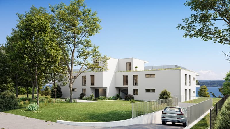 TOIT TERRASSE panoramique de 93 m² et vue sur le lac (4)