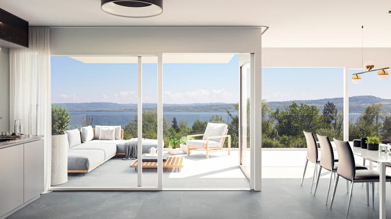 TOIT TERRASSE panoramique de 93 m² et vue sur le lac (6)