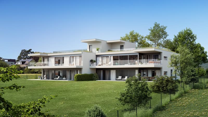 TOIT TERRASSE panoramique de 93 m² et vue sur le lac (2)