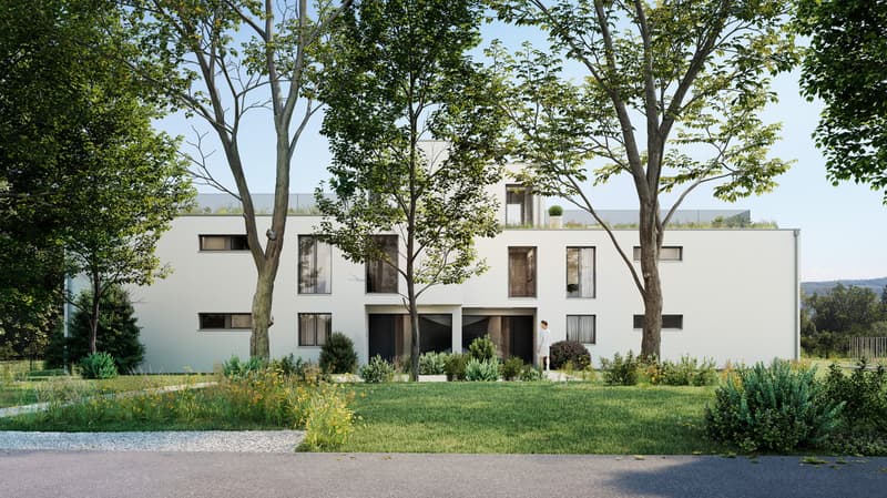 TOIT TERRASSE panoramique de 93 m² et vue sur le lac (3)
