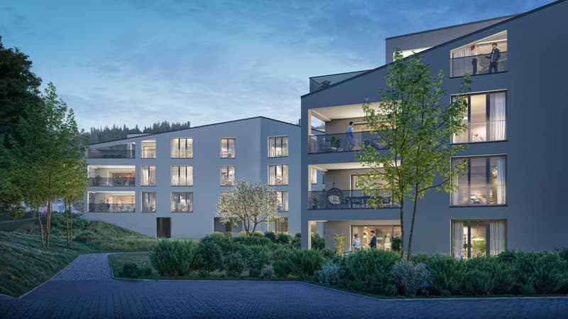 Appartement à Saignelégier (10)