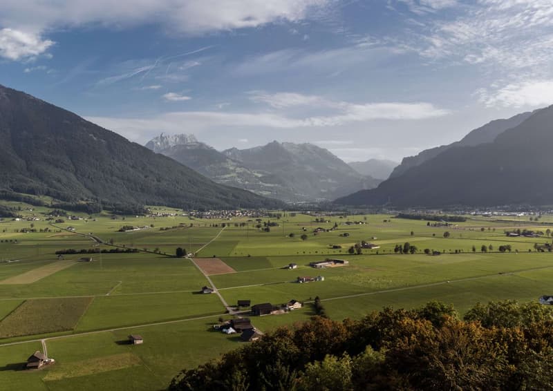 Panoramagrundstück in Benken - Naturidylle mit Nähe zu Zürich (2)