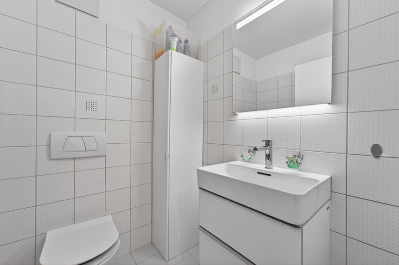 Wohnen wie im eigenen Haus 5.5-Zimmer mit Garten und grosszügigem Grundriss (10)