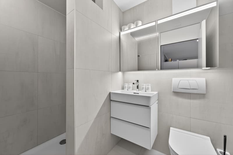 Wohnen wie im Einfamilienhaus - exklusive 5.5-Zimmer-Garten-Maisonette mit sonnigem Privatgarten (8)