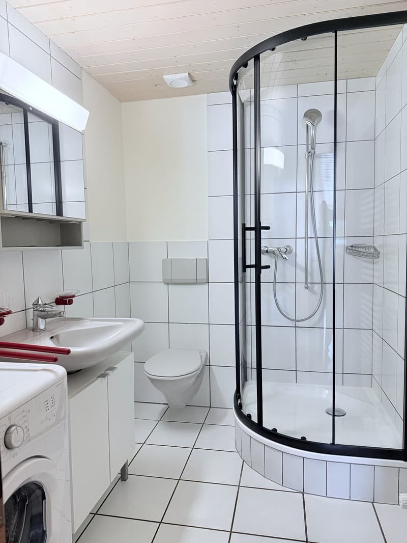 Loft meublé 1,5 pièce — tout compris — Courfaivre (10)