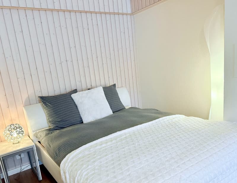 Loft meublé 1,5 pièce — tout compris — Courfaivre (7)