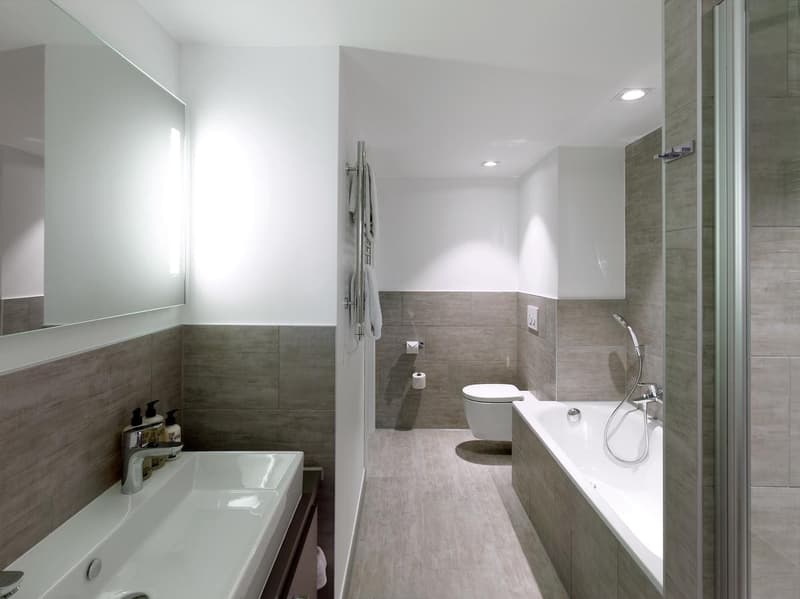 Charmant appartement de 2 pièces à Nyon, disponible immédiatement (3)