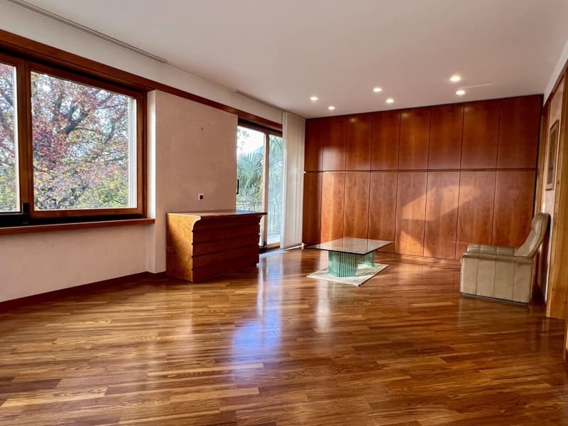 Grande ed elegante villa con terreno edificabile (7)