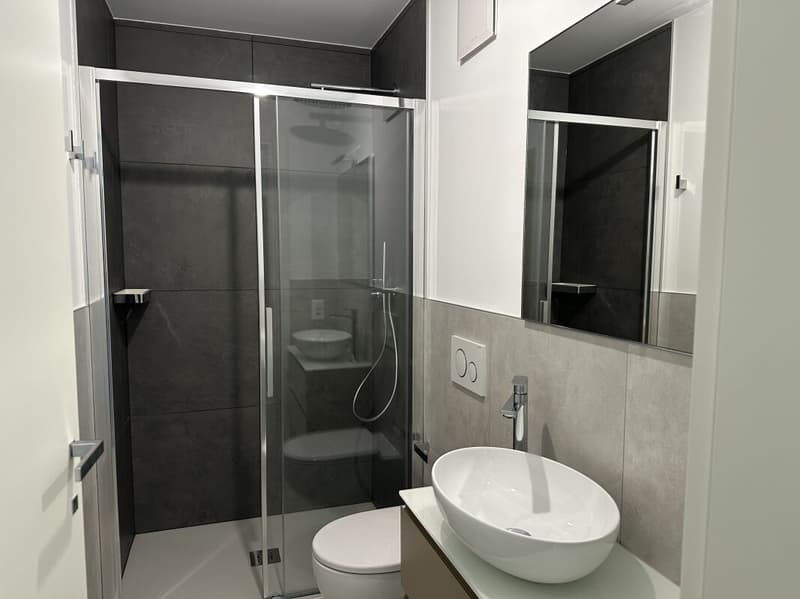 Nuovo e moderno appartamento di 3.5 locali con giardino privato e terrazza Mendrisio Arzo (10)