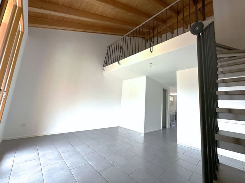 Caratteristico appartamento duplex di 3.5 locali, ultimo piano (3)