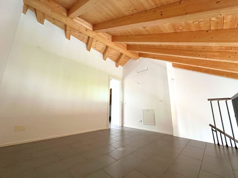 Caratteristico appartamento duplex di 3.5 locali, ultimo piano (10)