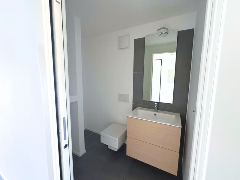 Caratteristico appartamento duplex di 3.5 locali, ultimo piano (15)