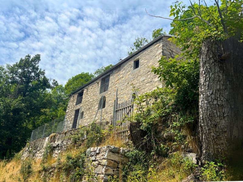 Grazioso rustico ristrutturato con vista aperta sulla valle (2)