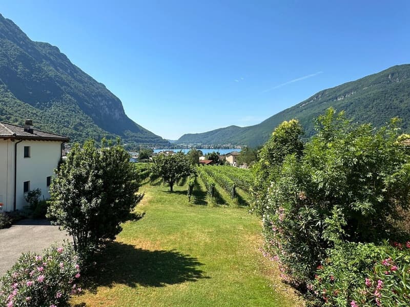 Interessante casa unifamiliare nel verde, con grande locale hobby/garage e parziale vista lago (6)