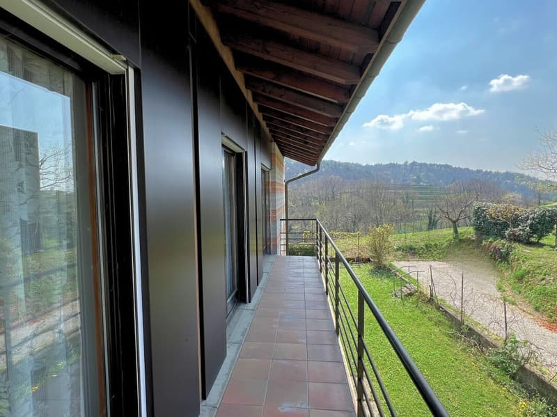 Grande villa uni-bifamiliare su tre livelli con giardino (17)