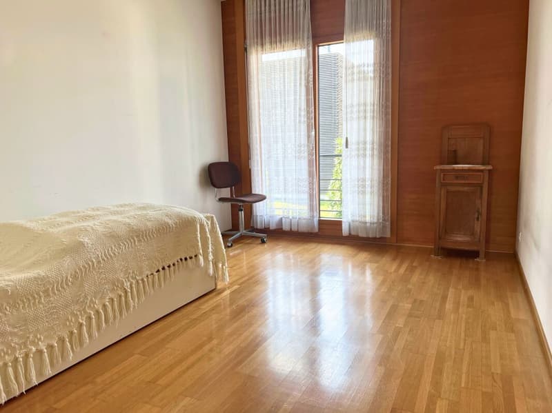 Grande villa uni-bifamiliare su tre livelli con giardino (11)