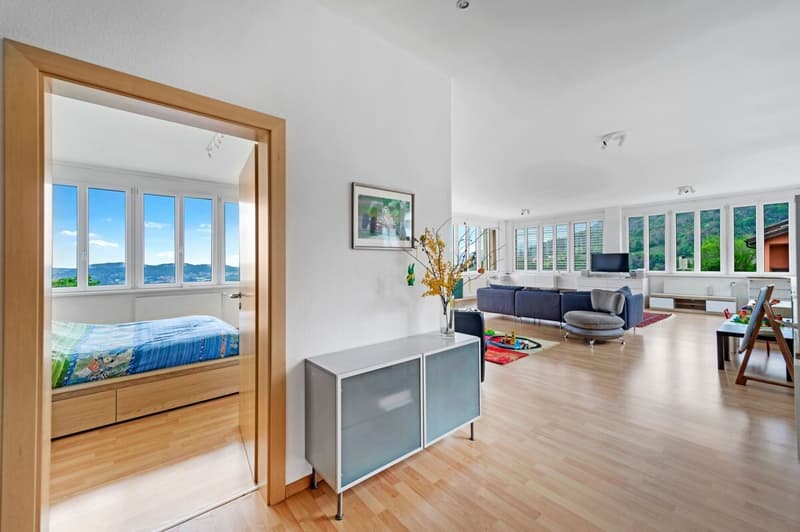 Ampia proprietà misto residenziale-commerciale con vista (2)