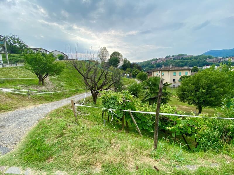 Casa di tre appartamenti per investimento a reddito (12)
