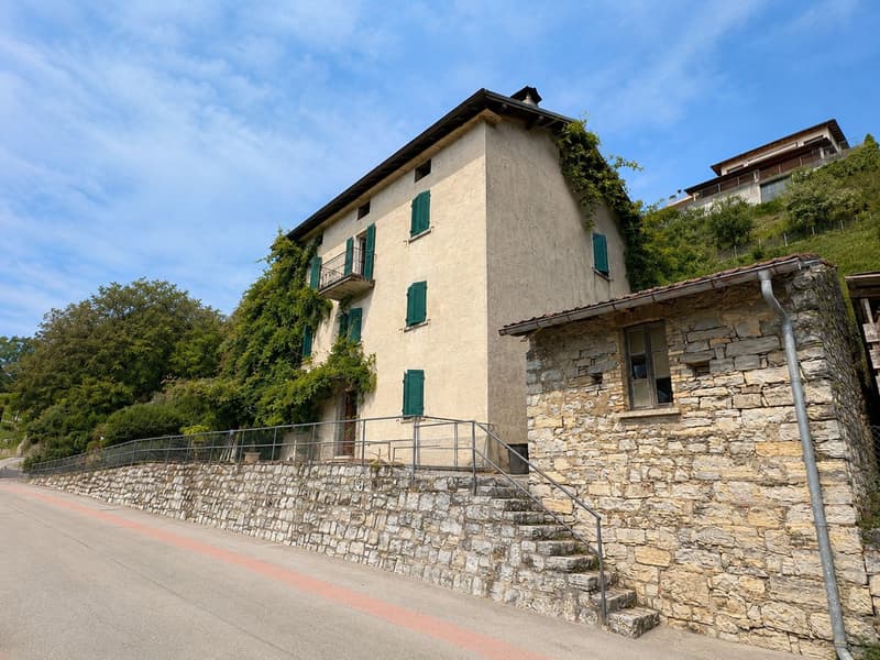 Caratteristico immobile da ristrutturare con grande terreno edificabile annesso e ulteriori 3 lotti boschivi (4)
