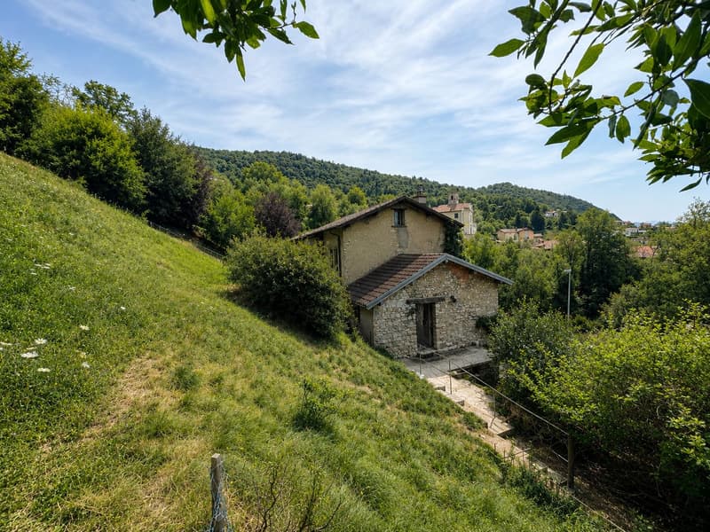 Caratteristico immobile da ristrutturare con grande terreno edificabile annesso e ulteriori 3 lotti boschivi (6)