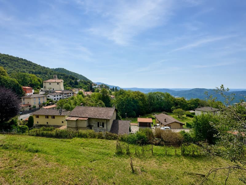 Caratteristico immobile da ristrutturare con grande terreno edificabile annesso e ulteriori 3 lotti boschivi (9)