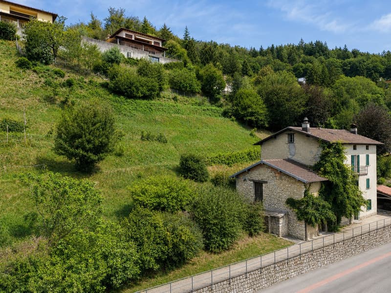 Caratteristico immobile da ristrutturare con grande terreno edificabile annesso e ulteriori 3 lotti boschivi (3)