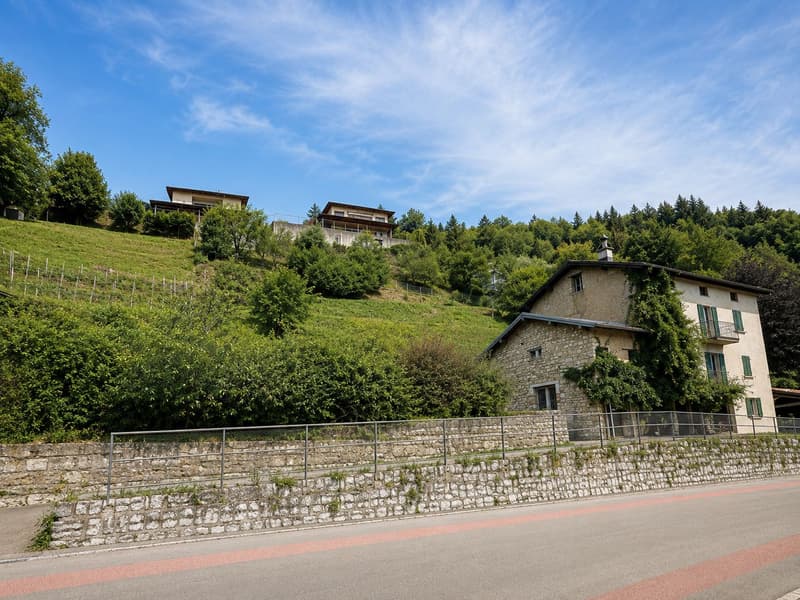 Caratteristico immobile da ristrutturare con grande terreno edificabile annesso e ulteriori 3 lotti boschivi (5)