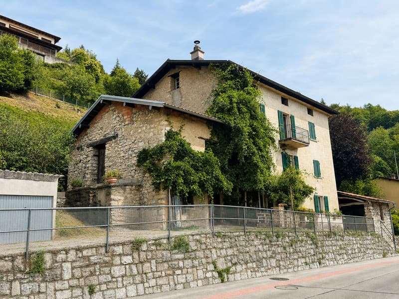Grande terreno edificabile con costruzione esistente e ulteriori 3 lotti boschivi (9)