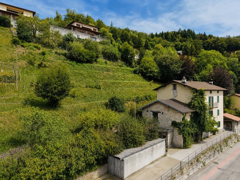 Grande terreno edificabile con costruzione esistente e ulteriori 3 lotti boschivi (2)
