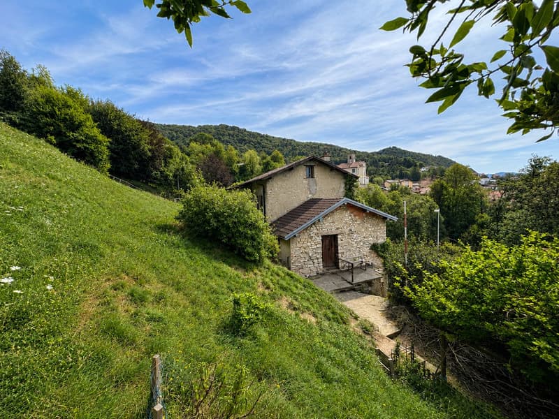 Grande terreno edificabile con costruzione esistente e ulteriori 3 lotti boschivi (4)