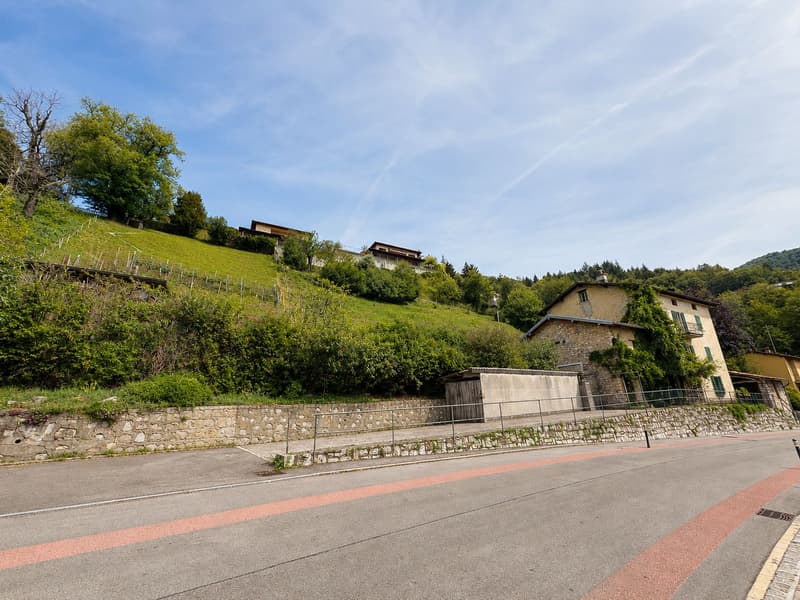 Grande terreno edificabile con costruzione esistente e ulteriori 3 lotti boschivi (3)