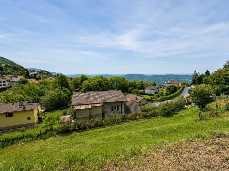 Grande terreno edificabile con costruzione esistente e ulteriori 3 lotti boschivi (8)