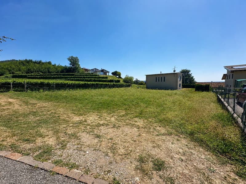 Terreno edificabile pianeggiante, nel verde e con progetto approvato (1)