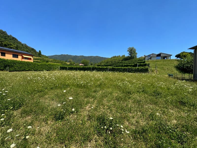 Terreno edificabile pianeggiante, nel verde e con progetto approvato (7)