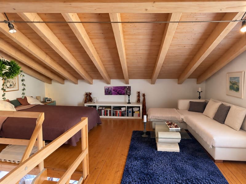 Graziosa casa bifamiliare affacciata sulle montagne (6)