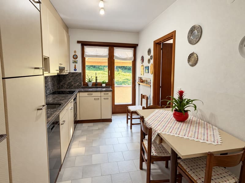 Accogliente e caratteristica casa unifamiliare con grande giardino pianeggiante ben curato (10)