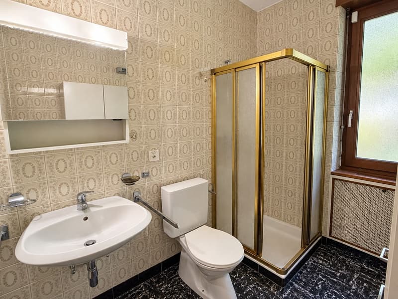 Renovierungsbedürftiges Haus mit zwei separaten Wohnungen und herrlichem Seeblick (10)